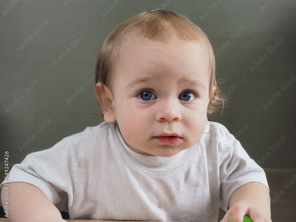 portrait of a baby portrait of a baby