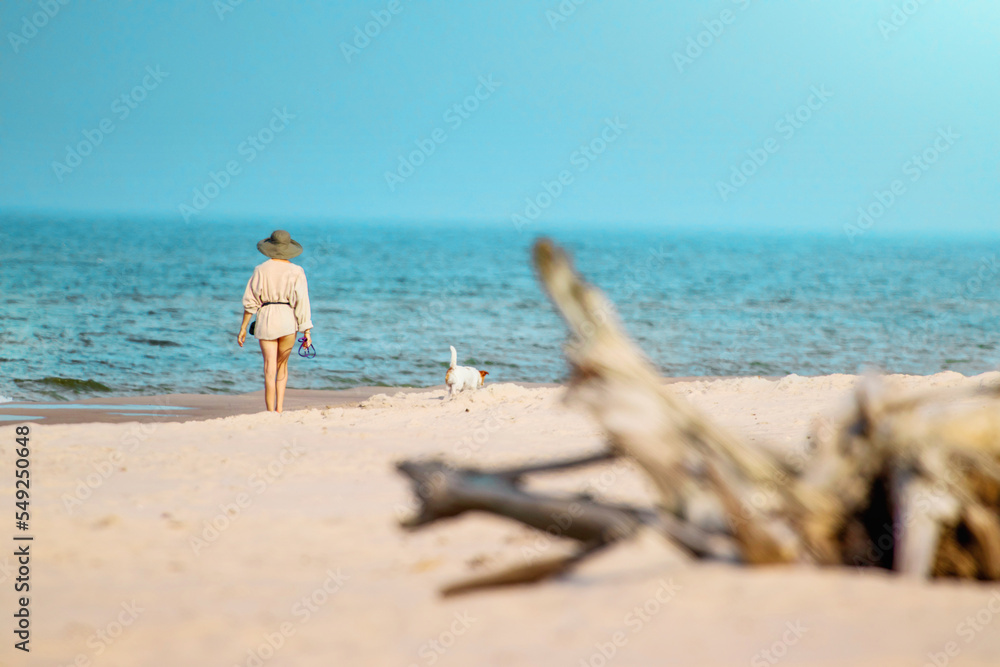 Spacer  kobiety w kapeluszu  z psem po plaży, na której leży konar drzewa. - obrazy, fototapety, plakaty 