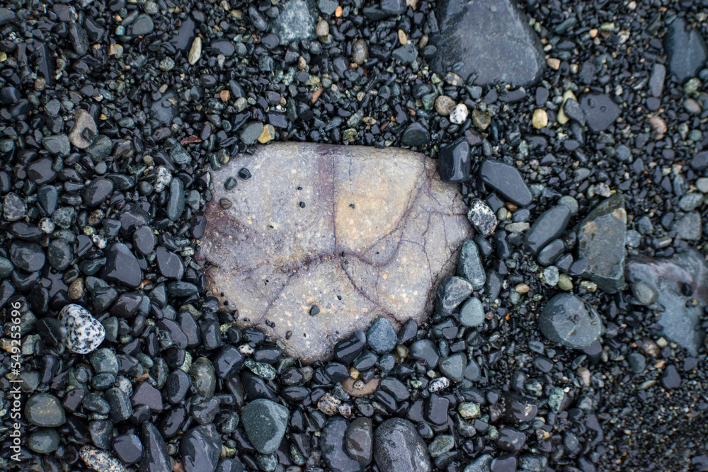 A close-up of a brightly colored rock among dark-colored rocks on an Antarctica beach. A close-up of a brightly colored rock among dark-colored rocks on an Antarctica beach.