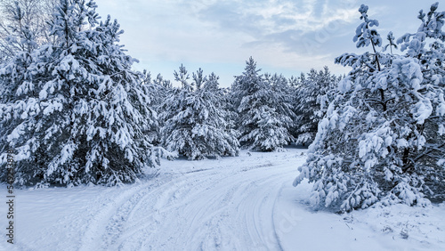 Aerial view of country road and snow-covered forest in winter.