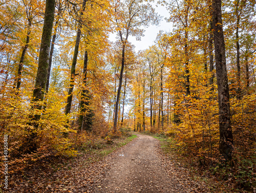 Couleurs d'automne