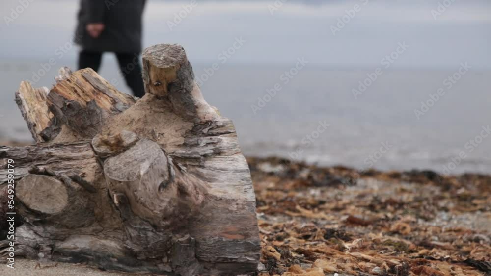 a man walks along the seashore against the background of a log a man walks along the seashore against the background of a log