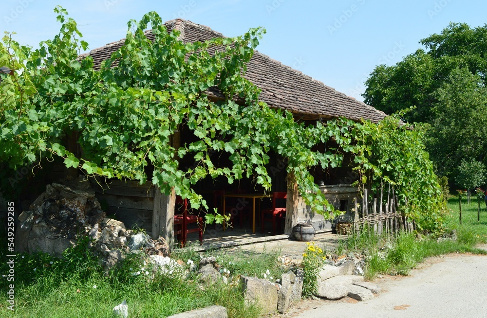 an old wooden house overgrown with plants an old wooden house overgrown with plants