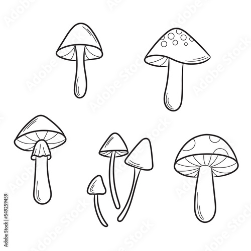 Line art vector mushroom illustration set
