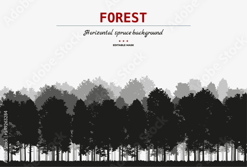 Vector silhouette of Treeline Spruce And Pines.Horizontal spruce background.Spruce treeline	