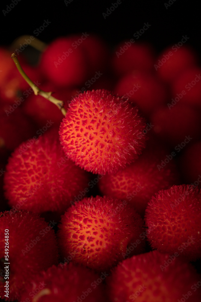 Arbutus, the fruit of the strawberry tree, with a black background and with copy space. Ripe wild berries with rough texture Arbutus, the fruit of the strawberry tree, with a black background and with copy space. Ripe wild berries with rough texture