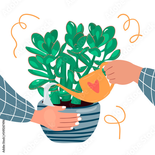 Hands of a person caring for a houseplant. One hand waters from a watering can, and the other holds the flowerpot.Home gardening concept.Vector cartoon flat illustration isolated on white.
