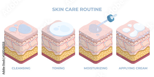 Isometric human skin care, 3d epidermis treatment. Facial skin care, cleansing, toning and hydration flat vector illustration. Dermatology skin treatment