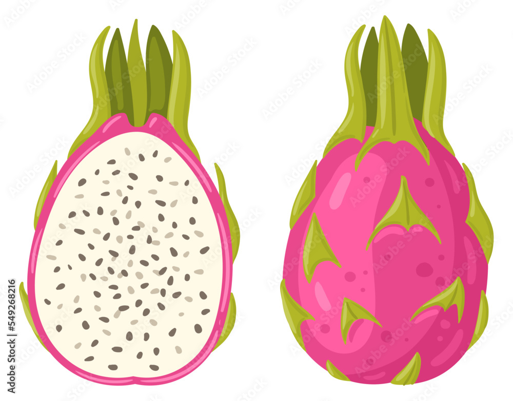 Cartoon tropical dragon fruit. Summer fresh red fruits, whole fruit and half flat vector illustration on white background Cartoon tropical dragon fruit. Summer fresh red fruits, whole fruit and half flat vector illustration on white background