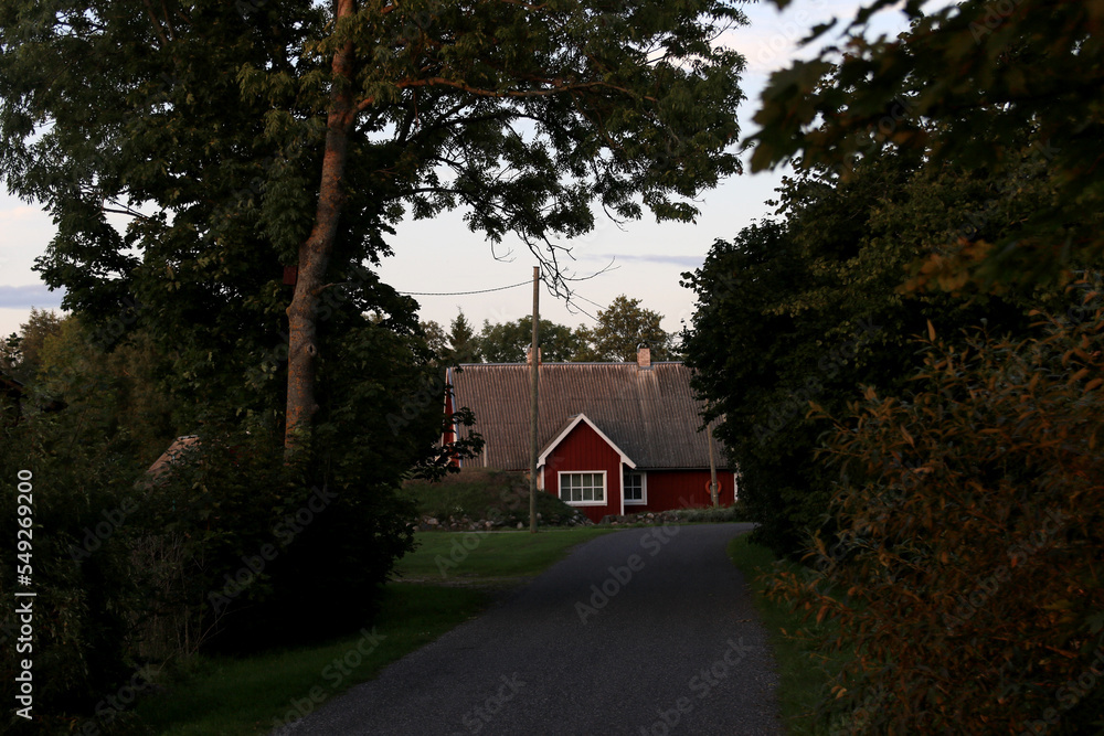 Red house behind trees lane evening Red house behind trees lane evening