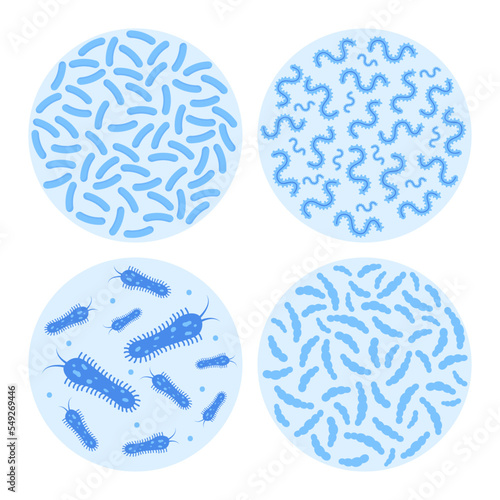 Bacterial flora in circle set. Different bacteria, pathogenic microorganisms and normal bacterial flora of humans. Vector illustration.
