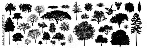 Tree silhouettes, Side view black, set of graphics trees elements outline symbol for architecture and landscape design drawing. Vector illustration in stroke fill . Tropical, oak, maple, poplar, birch