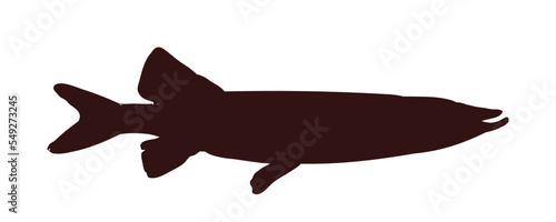 fish silhouette - pike