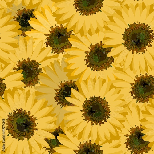 Seamless pattern with sunflowers