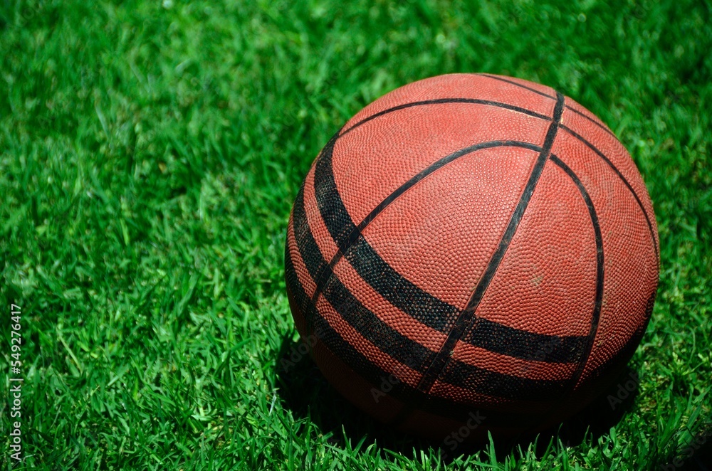 Balón de baloncesto sobre el cesped