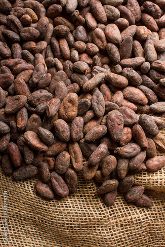 Seeds of cacao