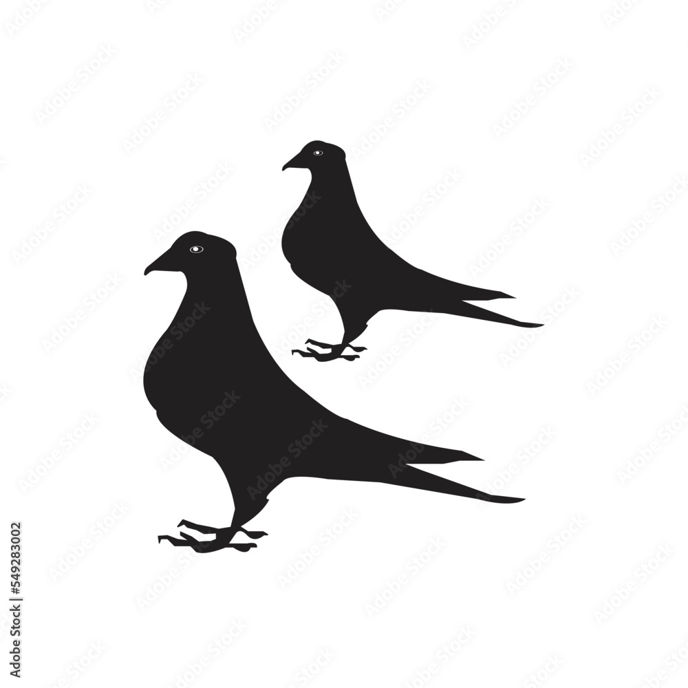 dove icon dove icon