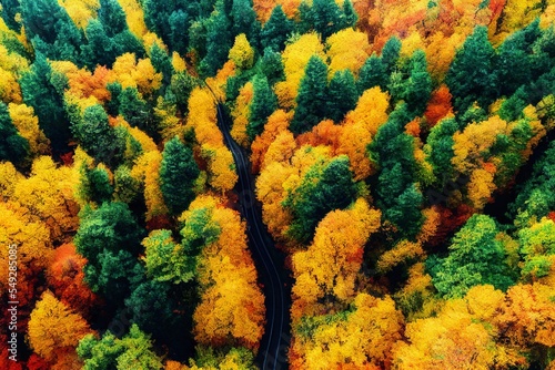 Autumn forest and road top view