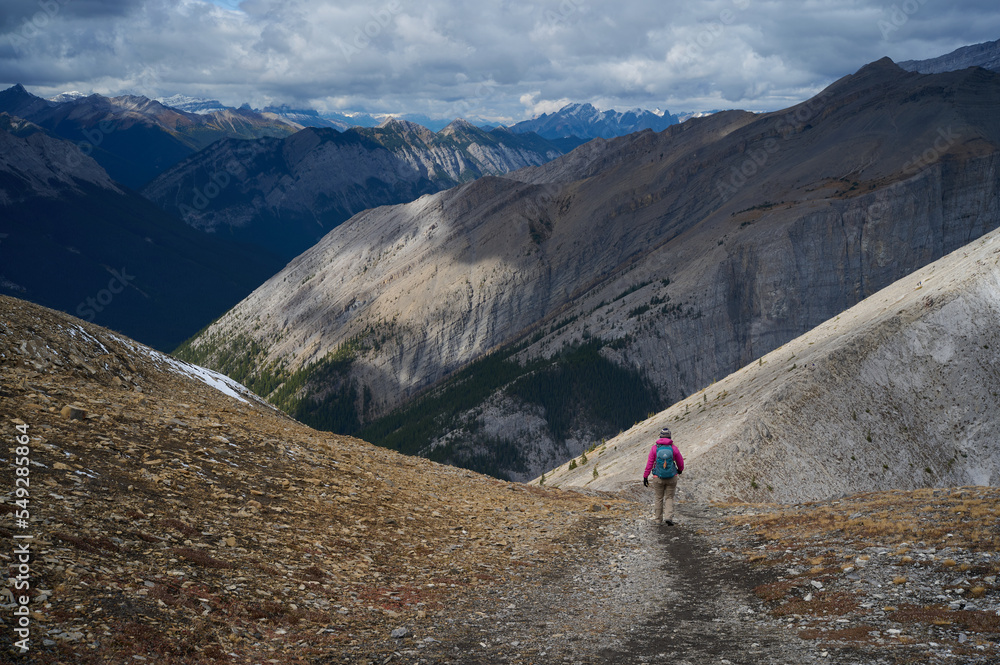 Fototapeta premium Hiking down a Mountain Near Canmore Alberta, Canada