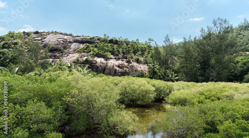 Beautiful tropical landscape with small pond and greenery at Seychelles