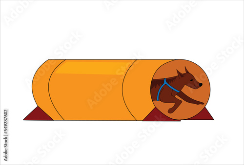 Dog training on agility field  vector illustration