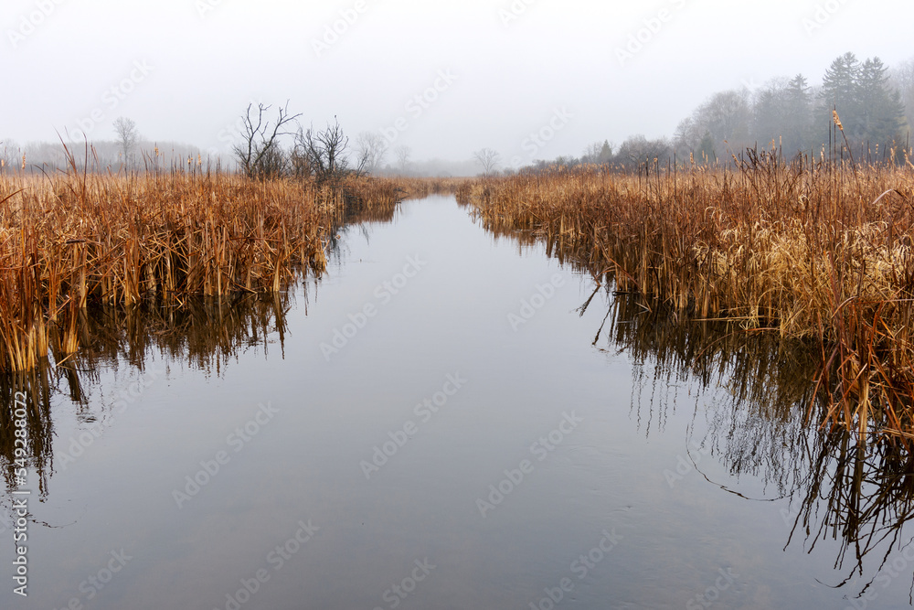 The Bark River in Waukesha County on a foggy March morning.