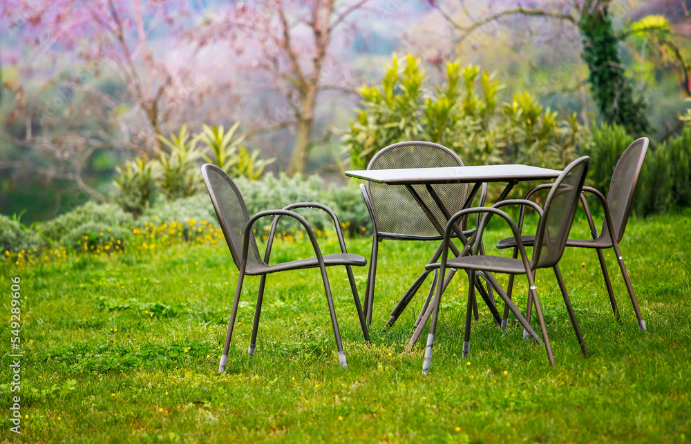Garden furniture at green lawn. Picturesque spring landscape design.