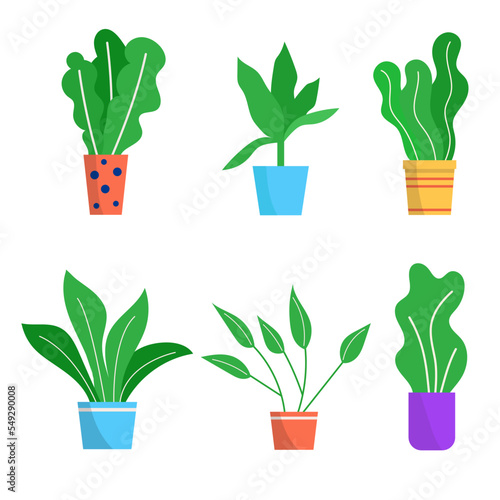 Flower pot set, vector illustration. Green garden plant in flowerpot, floral ...