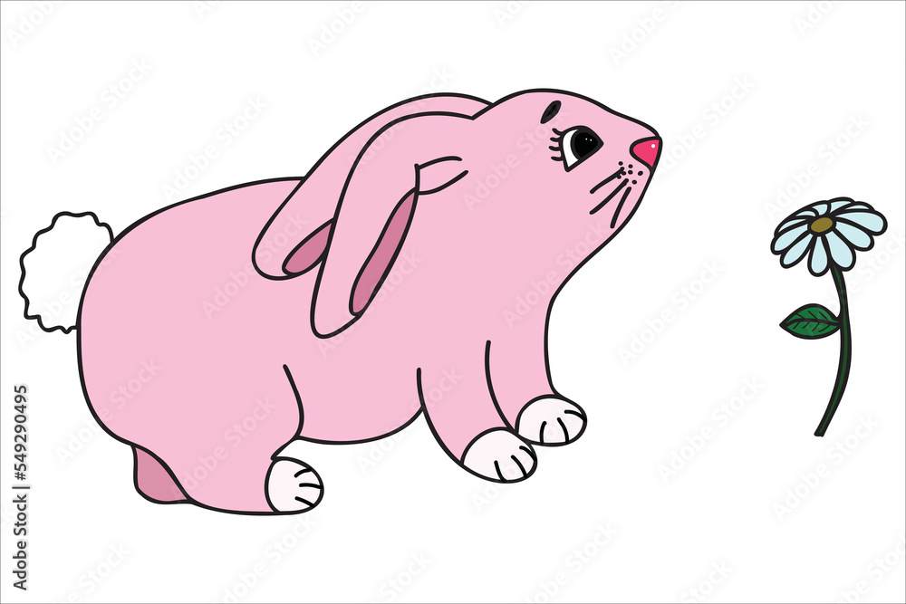 The picture shows a rabbit smelling a flower, it is intended for cards, March 8, Valentine, birthdays, clothing prints and can be used in various occasions. The picture shows a rabbit smelling a flower, it is intended for cards, March 8, Valentine, birthdays, clothing prints and can be used in various occasions.
