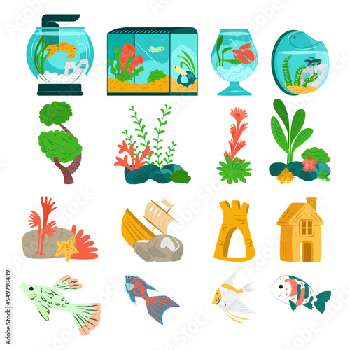 Beautiful aquarium set fish, vector illustration. Aquatic collection designer fauna in glass tank. Marine flora natural world.