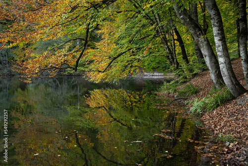 Autumn Season Reflections in the Yedigoller National Park  Yedigoller Lake Bolu  Turkey