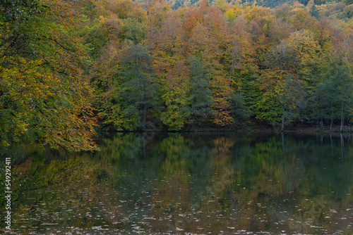 Fototapeta Naklejka Na Ścianę i Meble -  Autumn Season Reflections in the Yedigoller National Park, Yedigoller Lake Bolu, Turkey