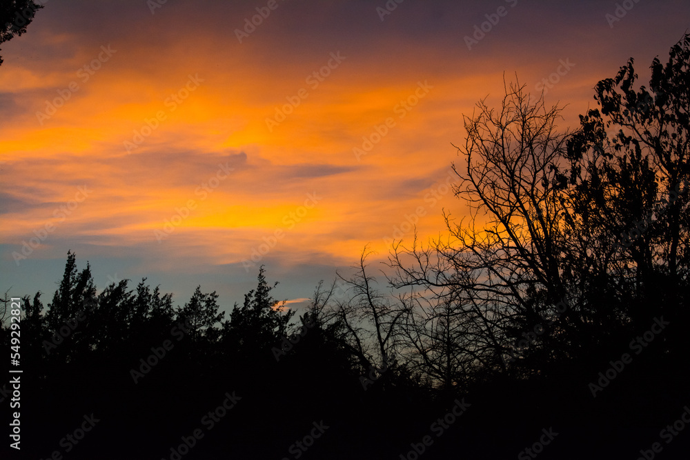 sunset over the field