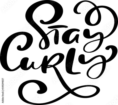 Stay Curly vector calligraphic vintage motivation text. Quote about naturally wavy or curly hairs. Curly girl method. Poster postcard, sticker card