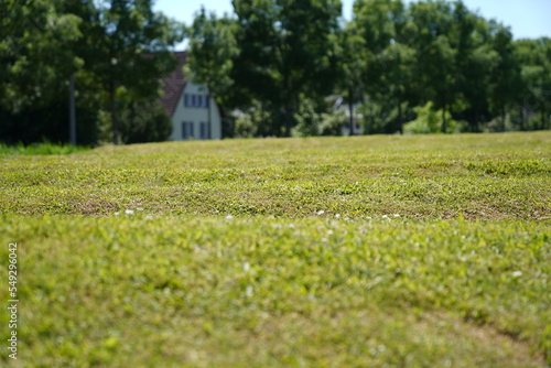 Leverkusen nähe Rhein Park in Sommer