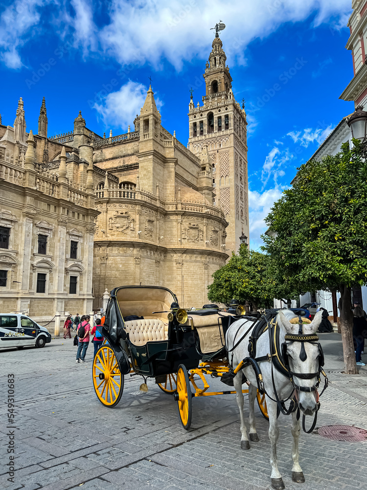  View of Cathedral of Seville