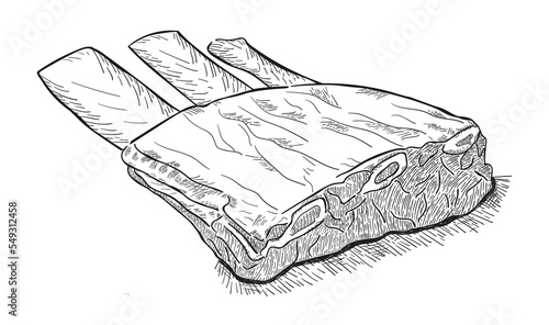 sketch hand drawn ribs isolated on white background. Vector illustration