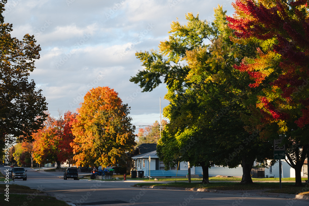 Shawano county foliage in the fall Shawano county foliage in the fall