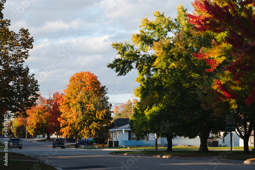 Shawano county foliage in the fall photo