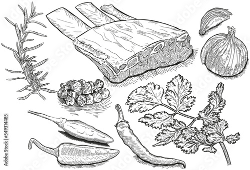 vector hand drawn ribs with rosemary, onion, pepper, parsley. realistic food sketch