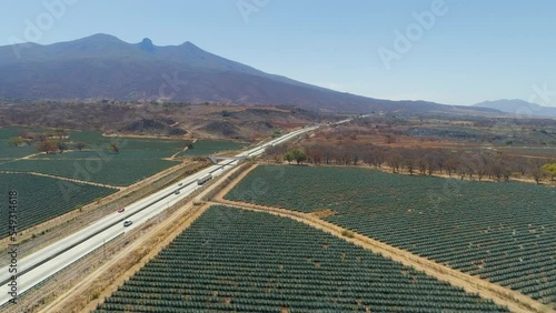 Agave Fields between the Mountains of Tequila, Jalisco, Mexico.