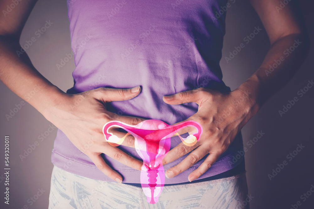 Woman hands holding uterus, female reproductive system , woman health, PCOS, gynecologic and cervix cancer concept - obrazy, fototapety, plakaty 