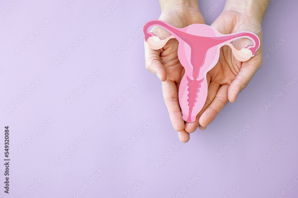 Hands holding uterus, female reproductive system , woman health, PCOS, gynecologic and cervix cancer concept - obrazy, fototapety, plakaty 