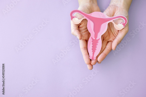 Fotomurale Hands holding uterus, female reproductive system , woman health, PCOS, gynecolog