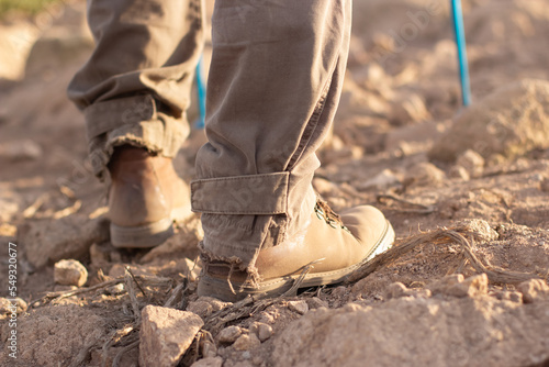 Cropped image of hiker boots. Person in ripped pants with special sticks going up. Hobby, nature, outdoor activity concept
