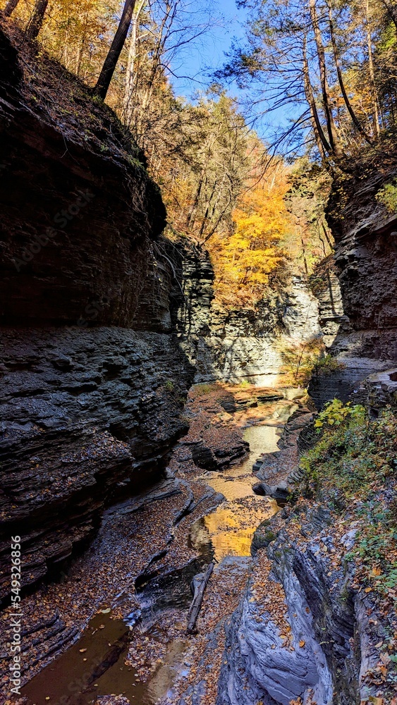 Watkins glen national park, old Indiana trail, autumn, colors