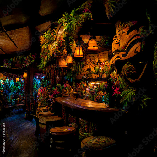 Tiki bar interior