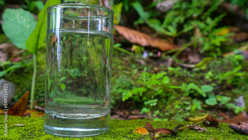 Glasses with water on a green plant background