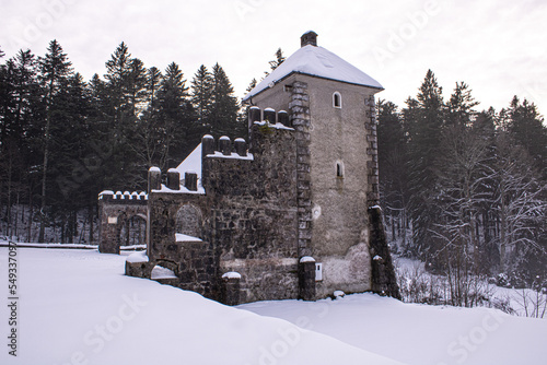 Remains of medieval hunting lodge at Mašun (Masun) in the middle of forest, Snežnik (Sneznik), Slovenia photo