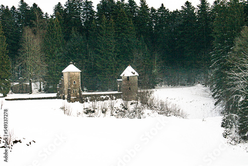Remains of medieval hunting lodge at Mašun (Masun) in the middle of forest, Snežnik (Sneznik), Slovenia